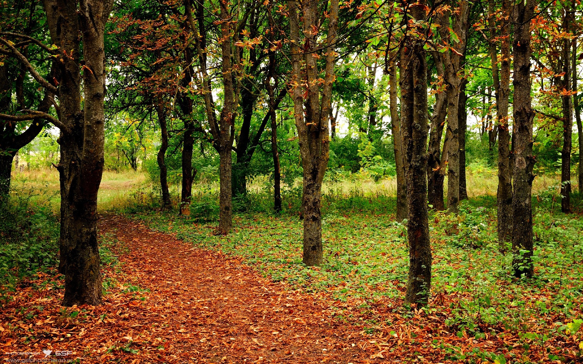 开云官方网-中国女篮核心球员表现抢眼 引领球队节奏，中国女篮人物介绍