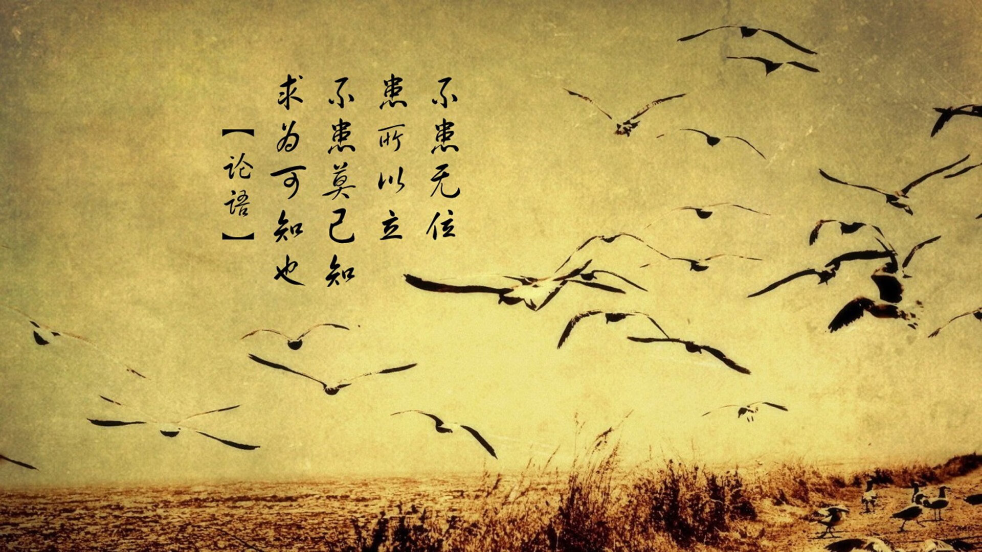 体育小镇建设成果展示会成功举办，体育小镇 规划设计方案