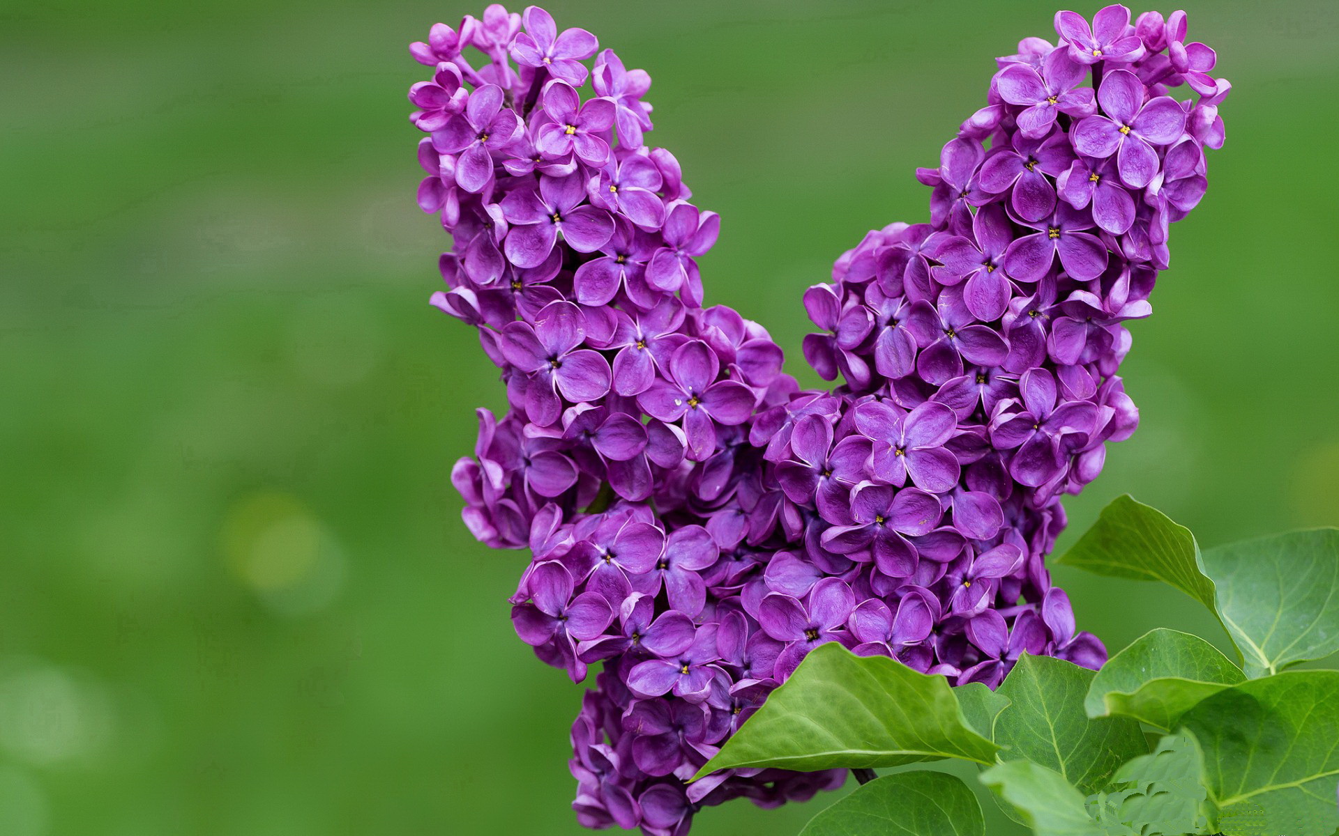 勒沃库森替补登场带来进攻变化，勒沃库森名单