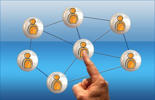 开云体育入口-德国队与国际乒联混合团体世界杯赛制的互动与挑战，德国队乒乓