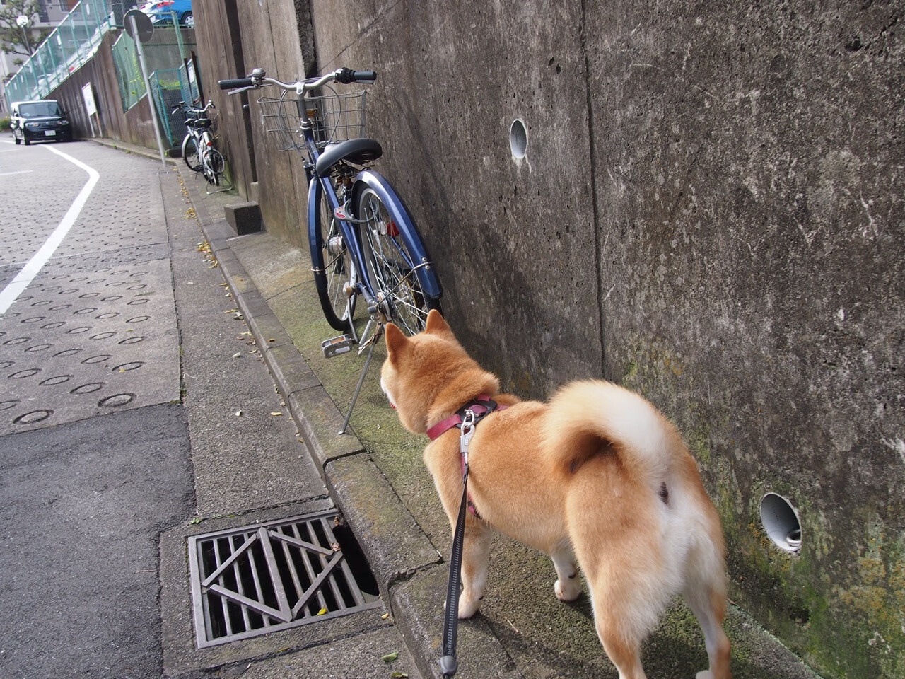 中超联赛媒体开放日增强球迷与球队双向互动,中超对球迷开放