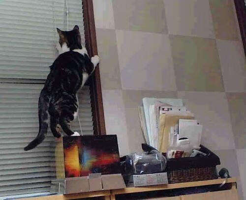 开云体育娱乐-乔治·巴尔：出色的防守和高效的传球能力使他成为全黑队战术核心