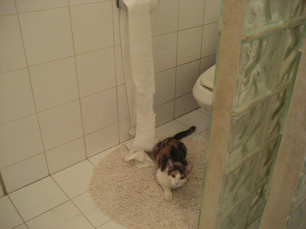 开云体育入口-史密斯200米蝶泳决赛精准发力夺冠，史密斯200米蝶泳决赛精准发力夺冠了吗