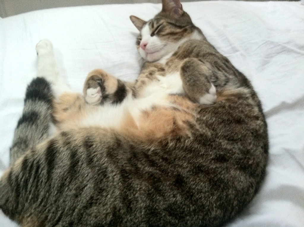 开云体育平台-数据部门更新比赛表现模型助力教练组做出更精准战术决策