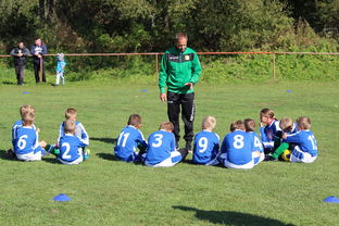 开云体育登录入口-欧洲杯冠军悬念：战术配合与个人能力巅峰对决，欧洲杯冠军大热门