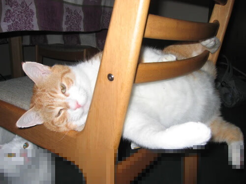 欧洲杯明星球员的成长路径,欧洲杯成名的球星