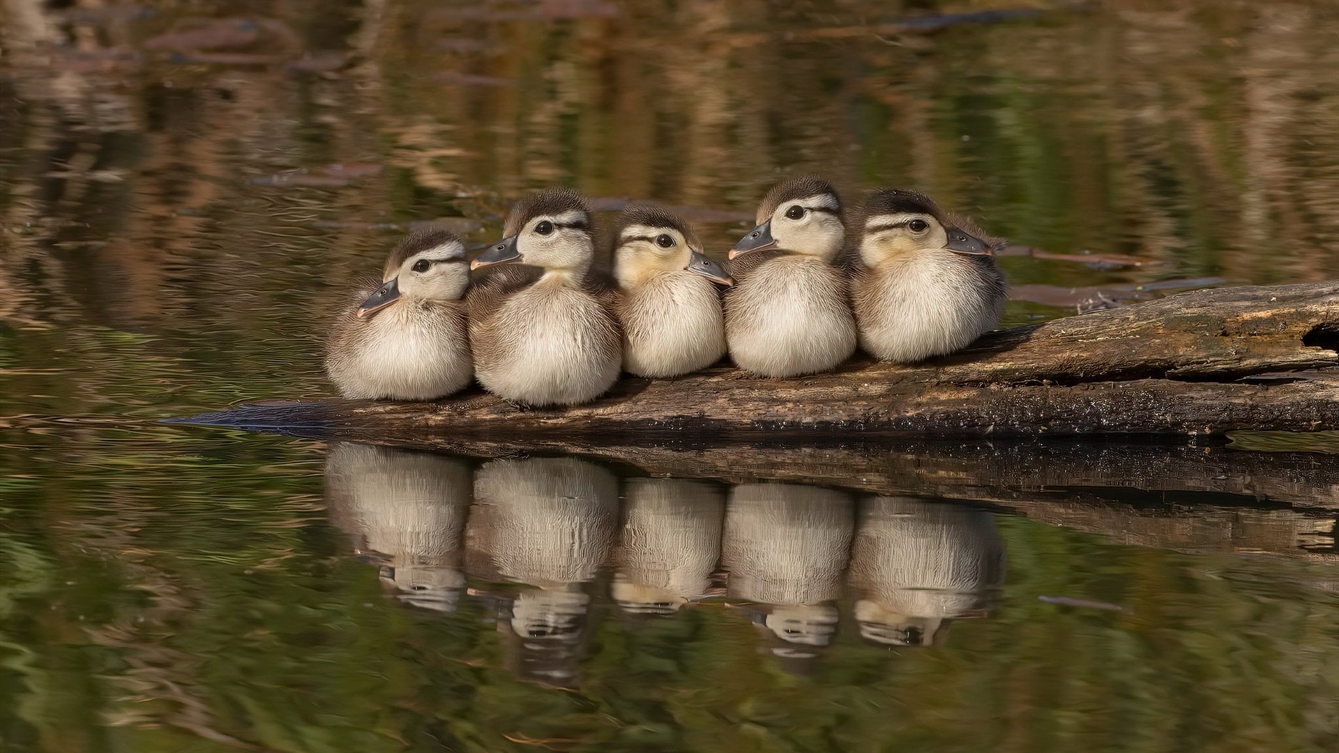 开云体育登录-科斯决赛发挥稳定成大赢家，科科斯卡